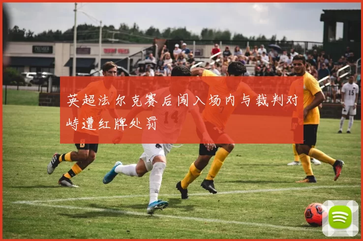 英超法尔克赛后闯入场内与裁判对峙遭红牌处罚